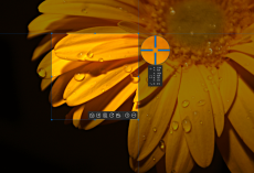 Ashampoo Snap 17 (Dauerlizenz - 1 Gerät) ESD