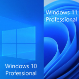 Microsoft Windows 10/11 Pro COA