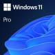 Microsoft Windows 11 Pro 64 Bit OEM Vollversion COA - Deutsch / Multilingual